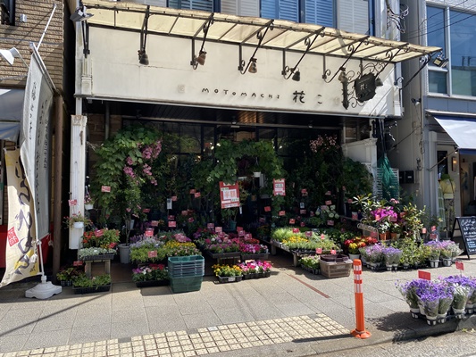 ＭＯＴＯＭＡＣＨＩ　花こ